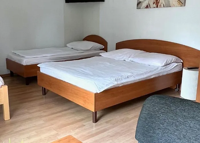 Hotel Pod Borowikiem Grzybowo 